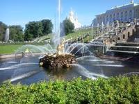 Peterhof Fountain Park & Palace tour by car